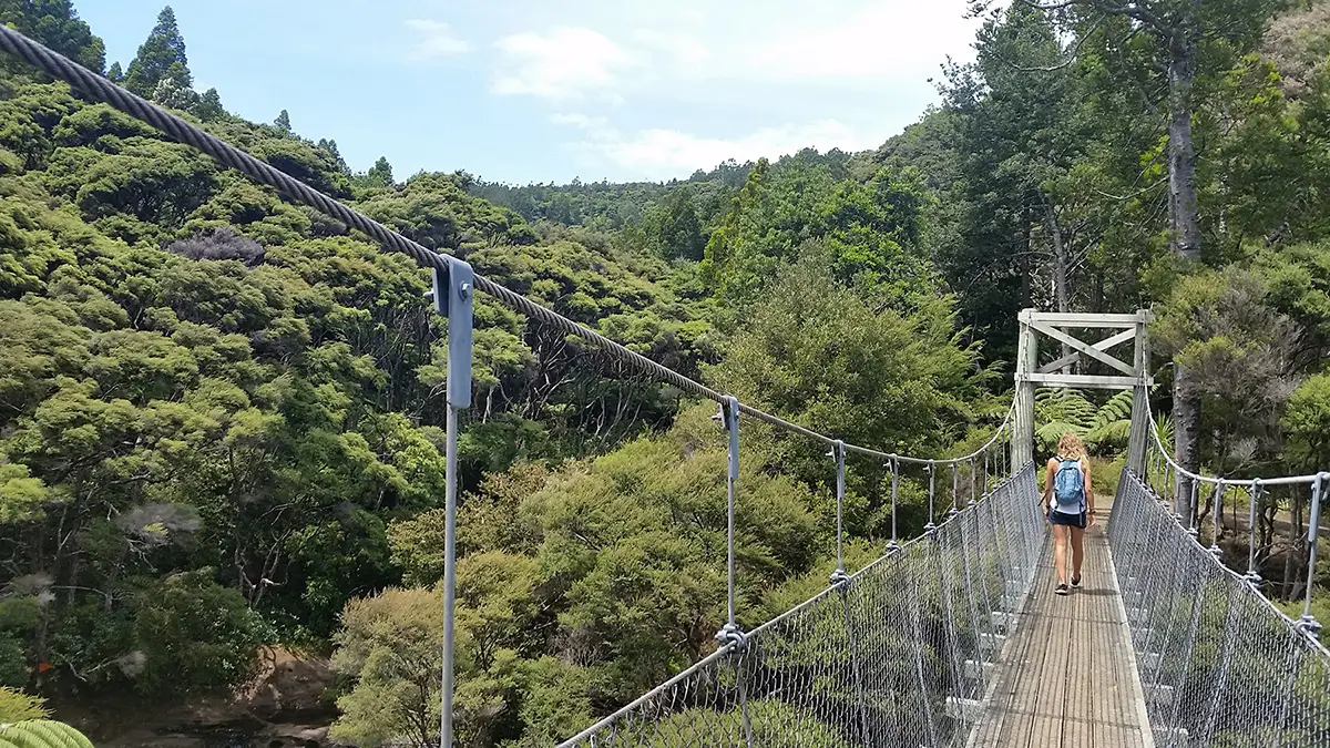 A swing bridge over sprawling bush. A person is walking across the bridge.